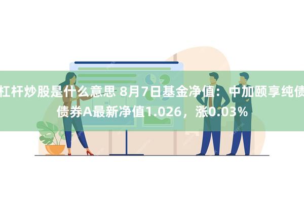 杠杆炒股是什么意思 8月7日基金净值：中加颐享纯债债券A最新净值1.026，涨0.03%