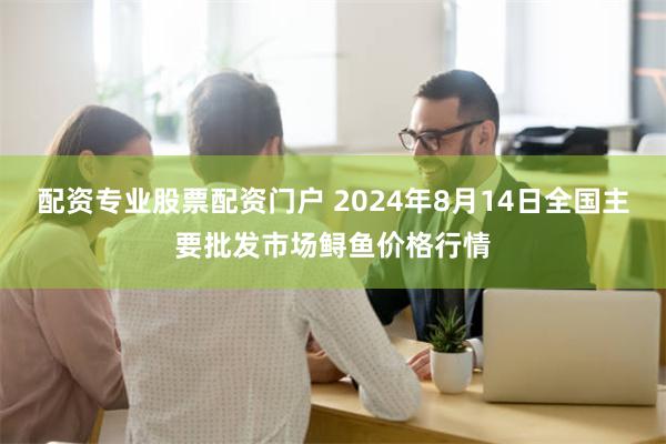 配资专业股票配资门户 2024年8月14日全国主要批发市场鲟鱼价格行情