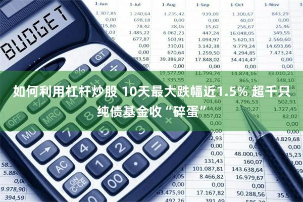 如何利用杠杆炒股 10天最大跌幅近1.5% 超千只纯债基