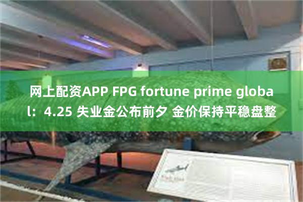 网上配资APP FPG fortune prime gl