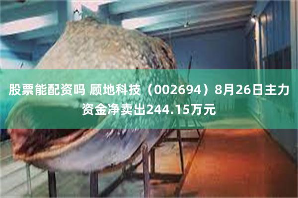 股票能配资吗 顾地科技（002694）8月26日主力资金净卖出244.15万元