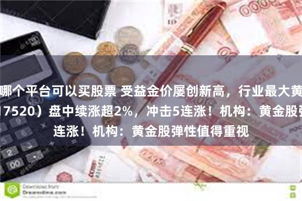 哪个平台可以买股票 受益金价屡创新高，行业最大黄金股ETF（517520）盘中续涨超2%，冲击5连涨！机构：黄金股弹性值得重视